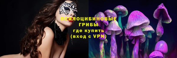 СК Алексин