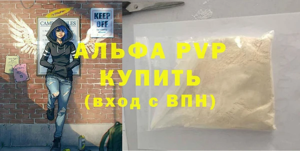 СК Алексин