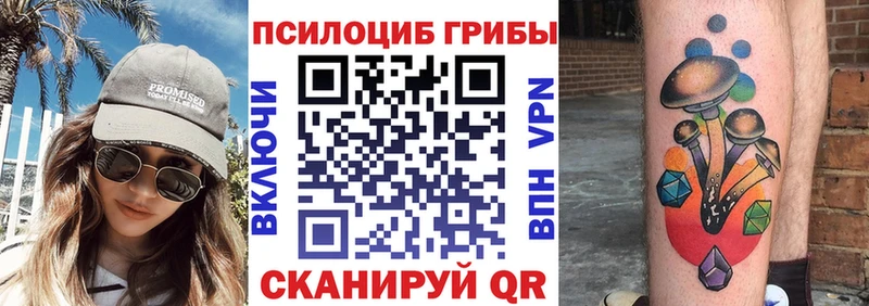 Купить где  Гдов  Галлюциногенные грибы MAGIC MUSHROOMS 